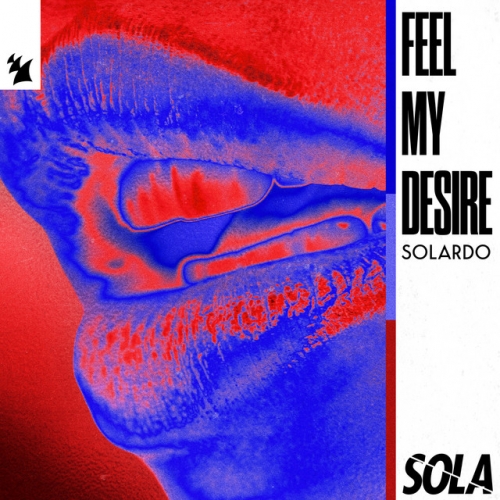 Feel My Desire release cover art