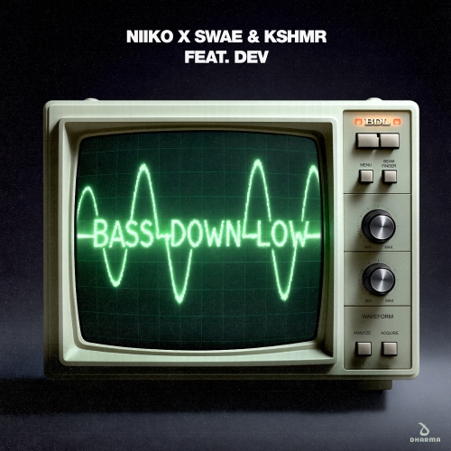 Bass Down Low release cover art