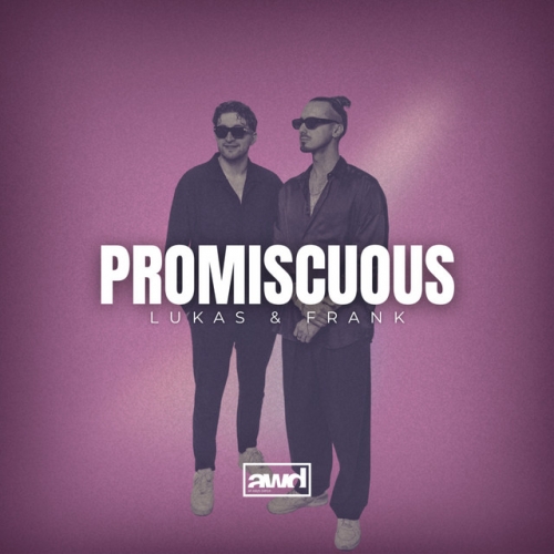 Promiscuous (Afro Edit) release cover art