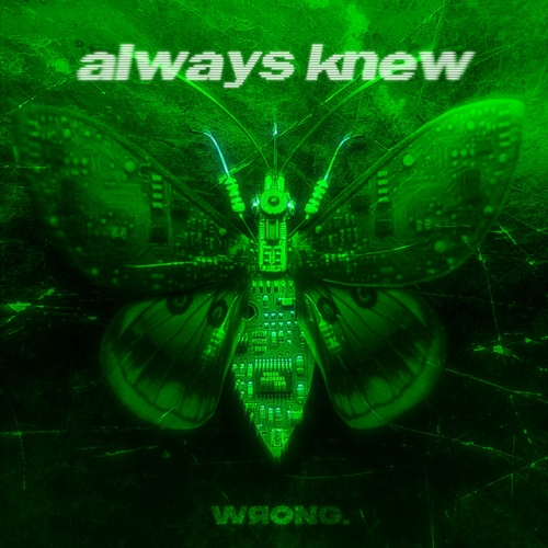 Always Knew release cover art