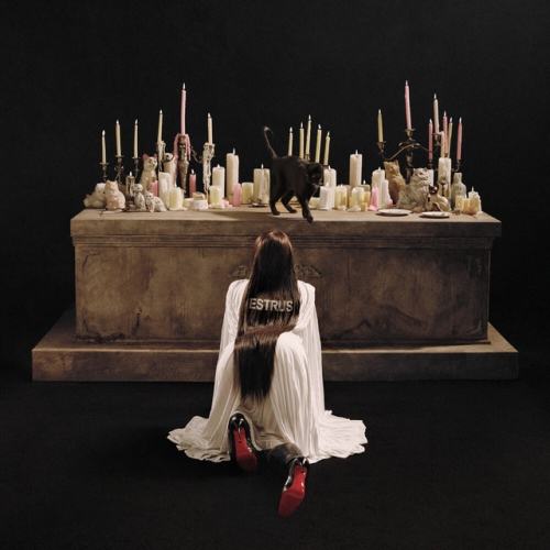 Des Fleurs release cover art