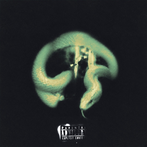 Shotta's. release cover art